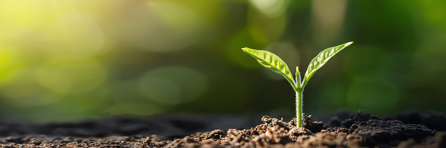 Soil