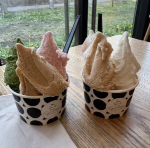 🍨🍦🍨🍦